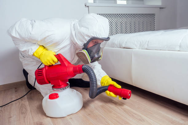 Best Fumigation Services  in Brownstown, PA